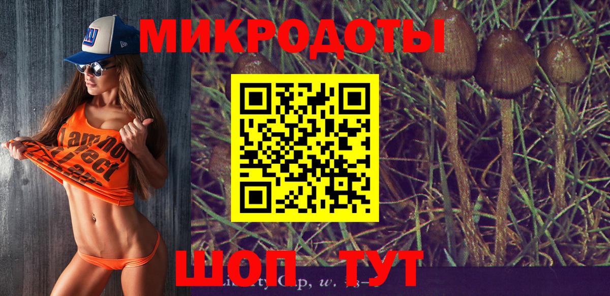 Псилоцибиновые грибы Magic Shrooms  Вход с VPN  Кулебаки  Галлюциногенные грибы MAGIC MUSHROOMS 