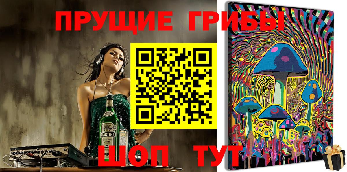 Псилоцибиновые грибы мицелий Кулебаки
